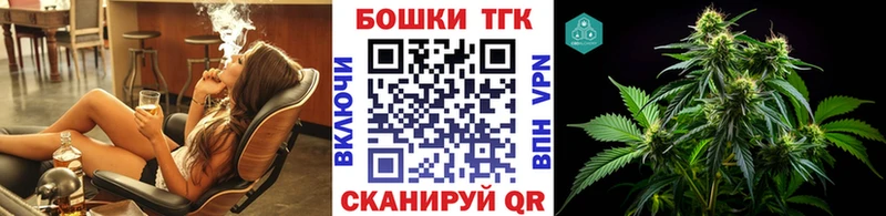 Бошки Шишки план Камень-на-Оби
